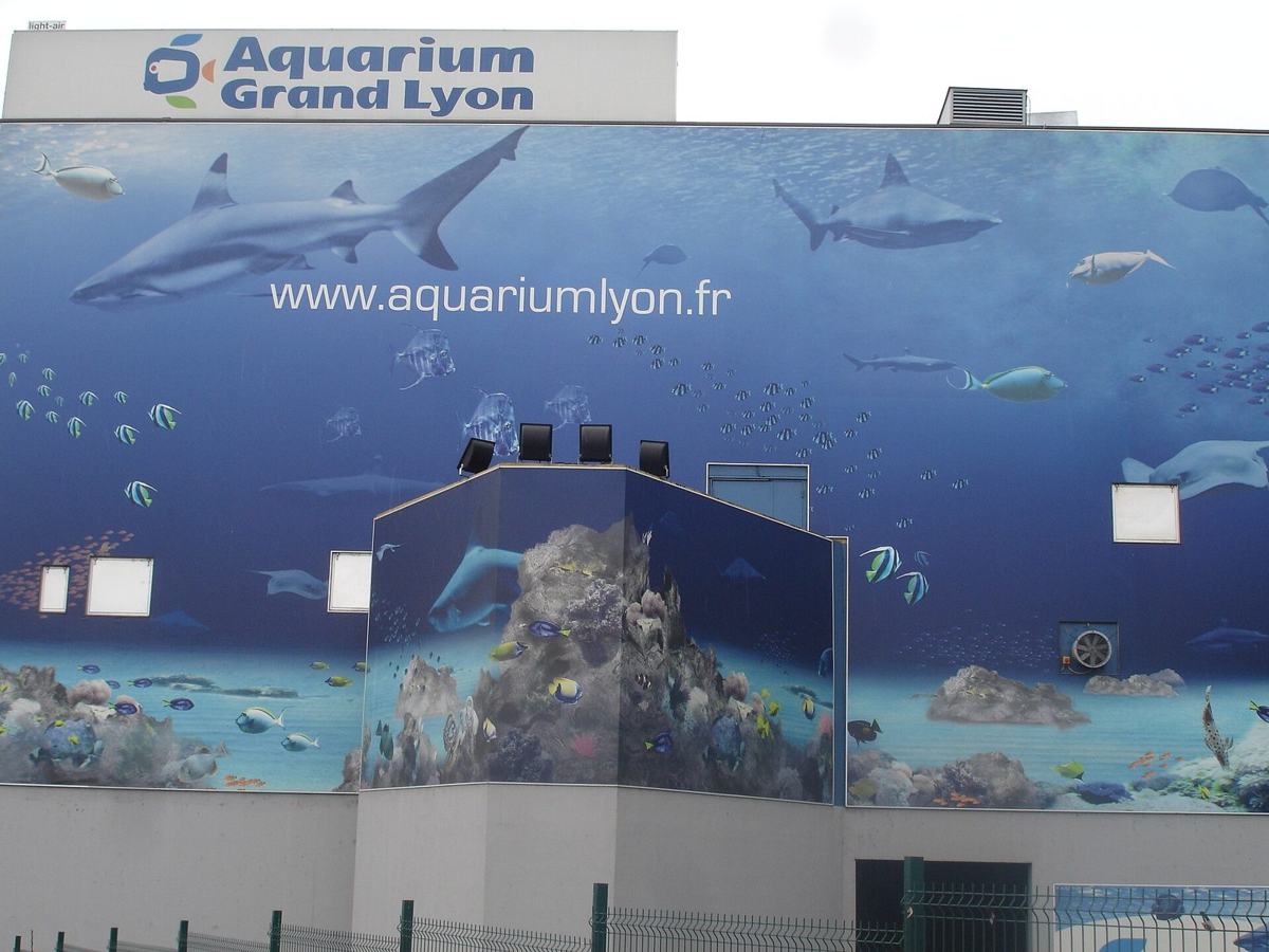 La façade de l'aquarium de Lyon à La Mulatière, peinte d'une fresque de requins et de poissons tropicaux