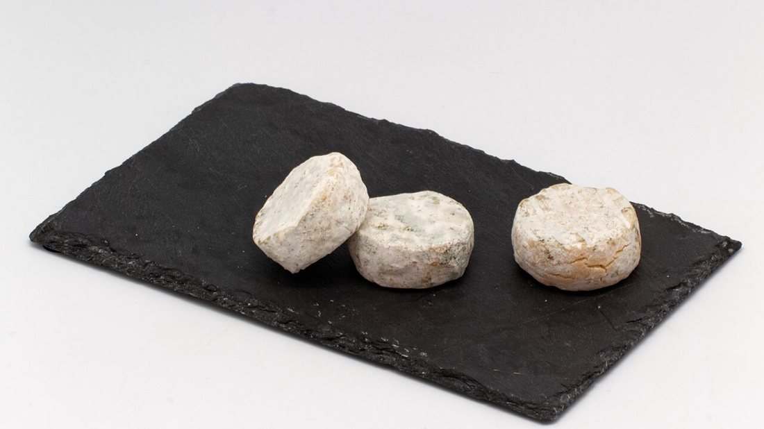 Plusieurs rigottes de Condrieu, petits fromages de chèvre ronds à croûte fleurie, présentées côte à côte